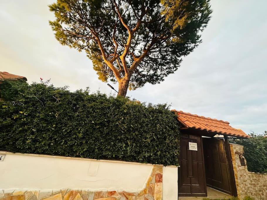 Fontana House Villa Marina di Cerveteri Esterno foto